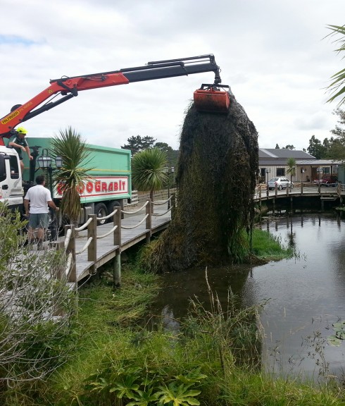 Waste Removal Pond Clearing