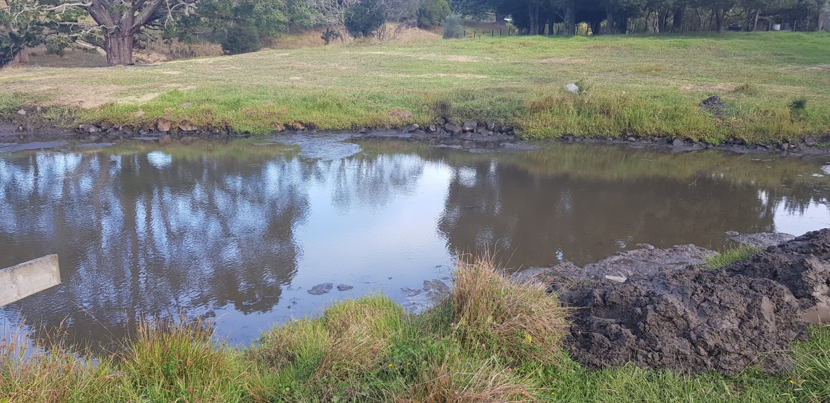 Pond Clearing After